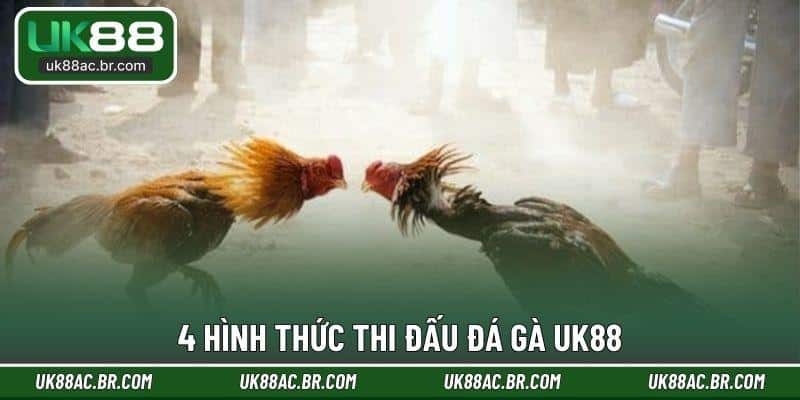 4 hình thức thi đấu đá gà UK88