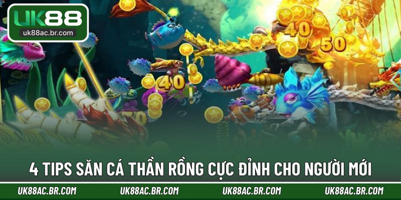 4 tips săn cá thần rồng cực đỉnh cho người mới