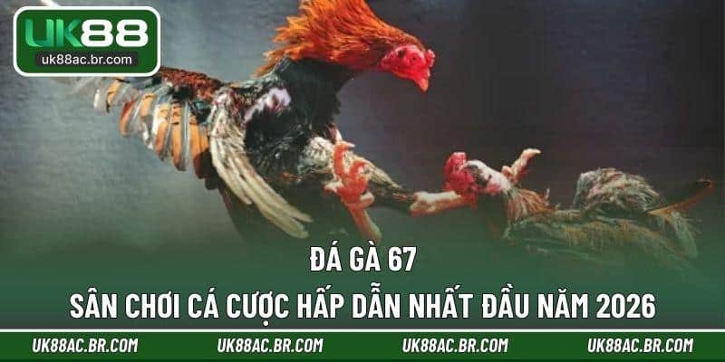 Đá Gà 67