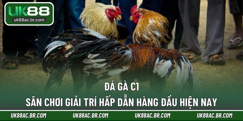 Đá Gà C1