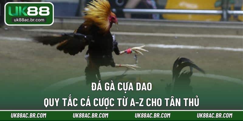 Đá Gà Cựa Dao
