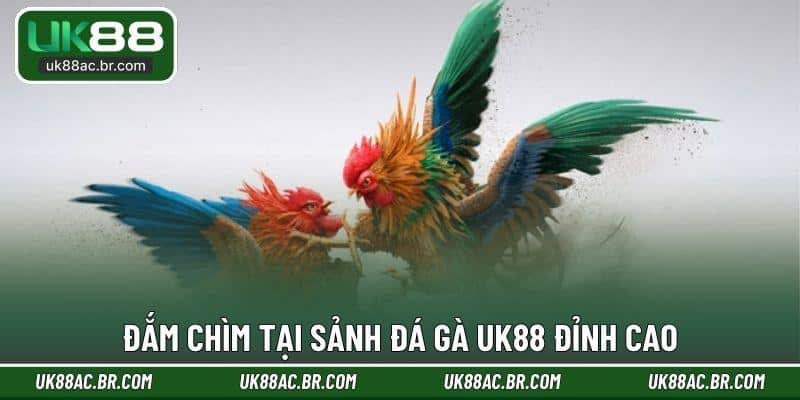 Đắm chìm tại sảnh đá gà UK88 đỉnh cao