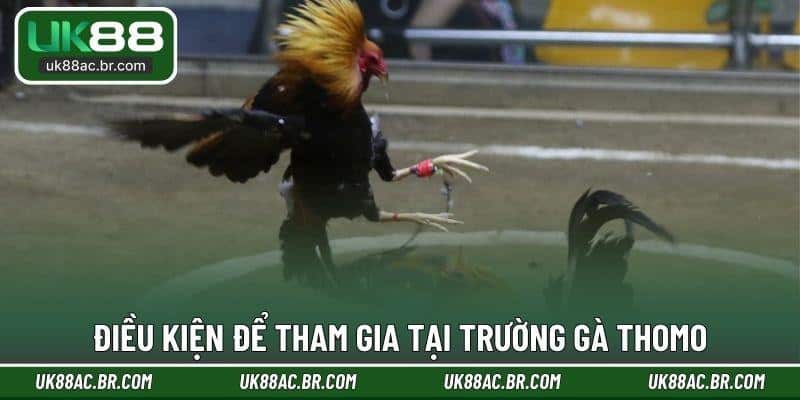 Điều kiện để tham gia tại trường gà Thomo