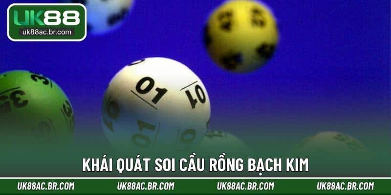 Khái quát soi cầu Rồng Bạch Kim