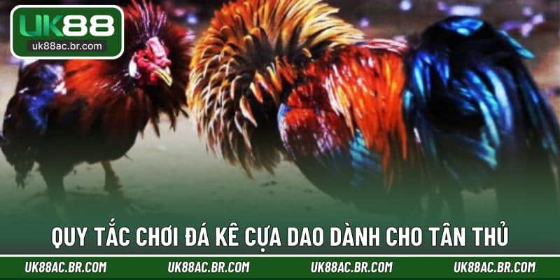 Quy tắc chơi đá kê cựa dao dành cho tân thủ
