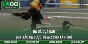 đá gà cựa dao