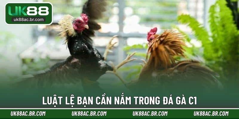 Luật lệ bạn cần nắm trong đá gà C1