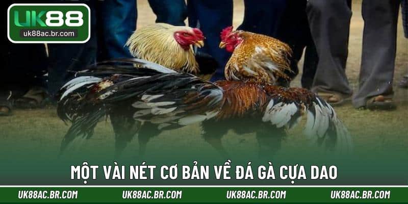Một vài nét cơ bản về đá gà cựa dao