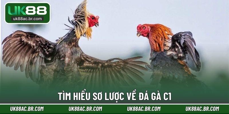 Tìm hiểu sơ lược về đá gà C1